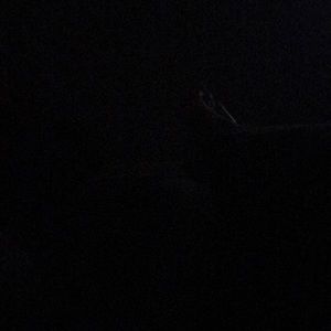 Meet your Posher, Christon